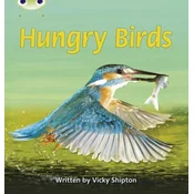 Bug Club Phonics Non Fiction Year 1 Phase 5 Set 23 Hungry Birds