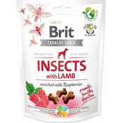 Treat Brit Care Dog Crunchy Cracker Insocts, janjetina i maline 200g