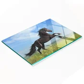 shumee Elegantna in trpežna steklena tabla z vzorcem črnega konja na travniku 80x52 cm