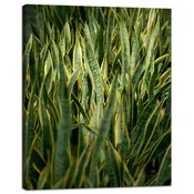 shumee Platno z motivom botanike in zelene trave 40x50 cm