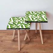 Hanah Home Set klub stocica 2Shp253, 2 komada, Šareni