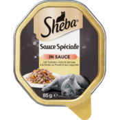 Sauce Speciale - puran in zelenjava v omaki