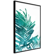 Poster - Teal Palm on White Background 40x60