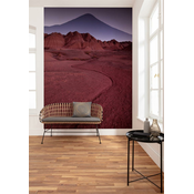 Meblo Trade Foto tapeta Red Mountain Desert 200x280h cm