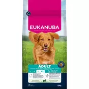 Eukanuba Premium Nutrition Adult Large & Giant Breed janjetina i riža - 2 x 12 kg