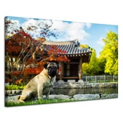shumee Platno s tiskom Živali Mops 120x80 cm