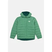 THE NORTH FACE Zunanja jakna PERRITO zelena / bela