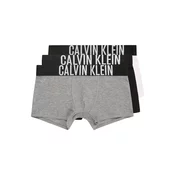Calvin Klein Underwear Spodnjice pegasto siva/črna/bela