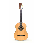 El Toro Cadete klasicna gitara sa torbom