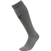 Puma Team LIGA Socks CORE