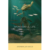 Wonderful Life