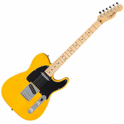 Fender Standard Telecaster MN Butterscotch Blonde Elektricna gitara