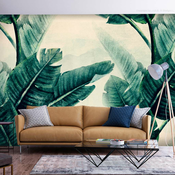 Foto tapeta - Magic Plants - Third Variant 250x175