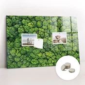 tulup.si Magnetna tabla Gozd iz ptičje perspektive 60x40 cm