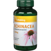 VITA KING kapsule ECHINACEA (100 kap.)