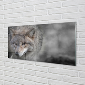 tulup.si Stenska plošča za kuhinjo Wolf 125x50 cm