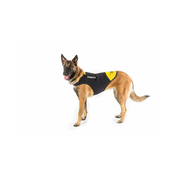 Julius-K9 Neoprena IDC pasja obleka L (16DC-IDC-L)