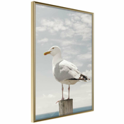 Poster - Curious Seagull 20x30