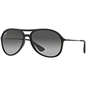 Ray-Ban Alex RB4201 622/8G Crni/Sivi