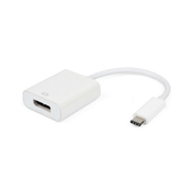 E-GREEN Adapter USB Tip C 3.1 m Display Port f