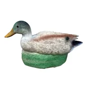 Eleven Target 3D Carp