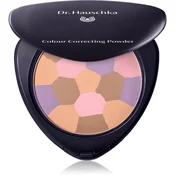 Dr. Hauschka Activating Tone Corrective Powder-01 8g
