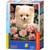 Castorland Puzzle kuža pomeranca v vrtnicah 300 kosov