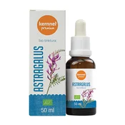 KERNNEL PREMIUM Tinktura astragalus, (3859892472719)
