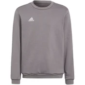 Športna majica adidas Entrada 22 Sweat Top, siva, 128cm