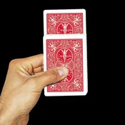 Bicycle Rising Card Deck (Samopodizna karta)