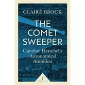 The Comet Sweeper