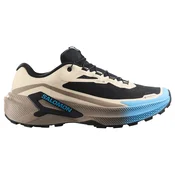 Moška tekaška obutev Salomon Genesis 2 GTX Oxford Tan/Walnut/Niagara UK 11