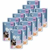 Vrečka BRIT Premium Cat Delicate Fillets in Gravy with Salmon for Sterilised 12x85 g