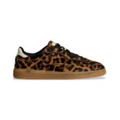 HOFF za ženske. 22562012 Rjave usnjene športne copate Alley Leopard (42), Rjava, Ravna stran, Čipke, Priložnostno, Žival