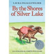 By the Shores of Silver Lake