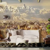 Samoljepljiva foto tapeta - Zebra Land 245x175