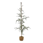 Umetno božično drevo višine 150 cm Vita - Bloomingville