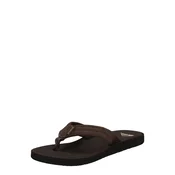 QUIKSILVER Japonke CARVER SUEDE, rjava