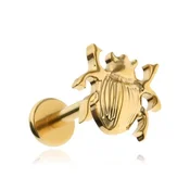 shumee Uhani iz titana, hrošč, zlati piercing, spiralna školjka, 1,2/8