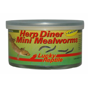 Lucky Reptile Herp Diner - mlinski črvi 35g Mlinski črvi mini 35g