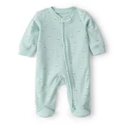 Carters zeka dr, decaci