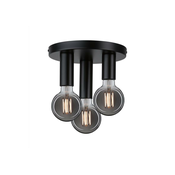 Paulmann 79761 - Stropna svetilka HALDOR 3xE27/20W/230V