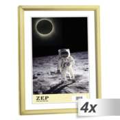 4x1 ZEP New Easy gold 30x40 Plastic Frame KG5