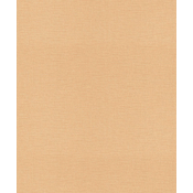 RASCH Tapeta 716993