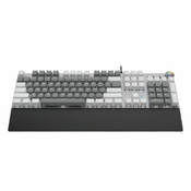 AULA F2088 sivo/bela, black switch, mehanicka