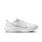 Nike Pegasus Plus