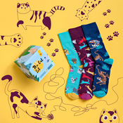 Banana Socks Unisexs Socks Set The Cat Set