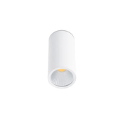 BELA STROPNA SVETILKA LED 15W 60° 2700K FR64198