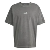 ADIDAS SPORTSWEAR Funkcionalna majica All Szn siva / črna