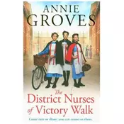 The District Nurse